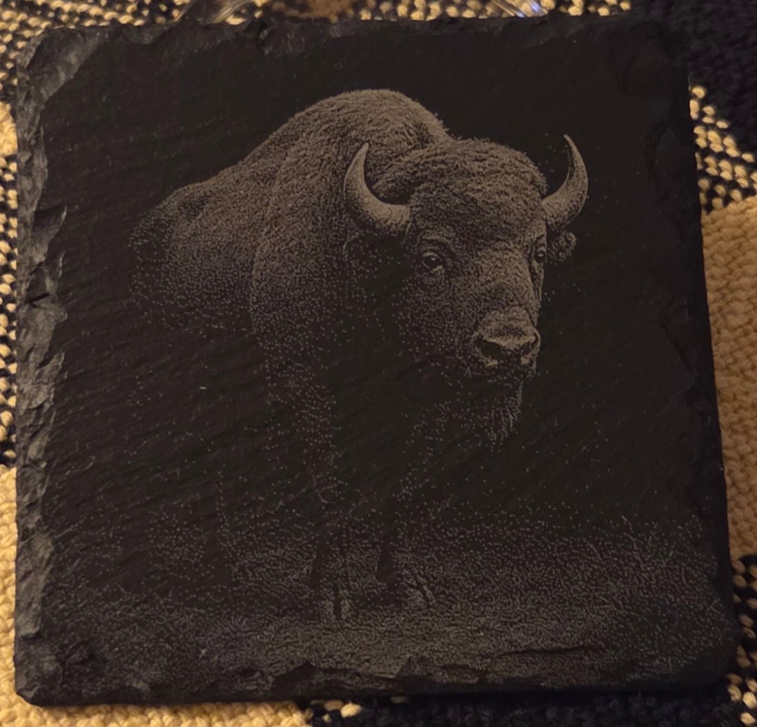 Wildlife Slate Coasters