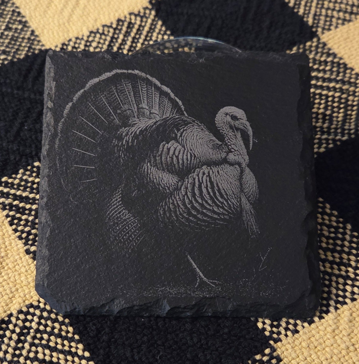 Eastern turkey coaster