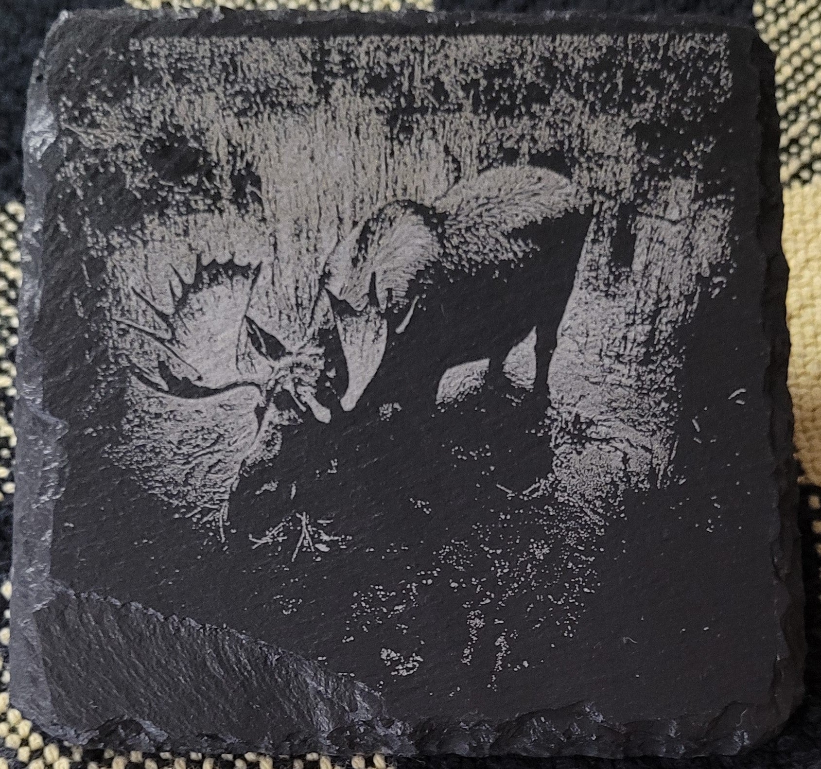 A moose bull eating in a swamp engraved on slate