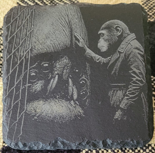 Square Ook Slate Coasters